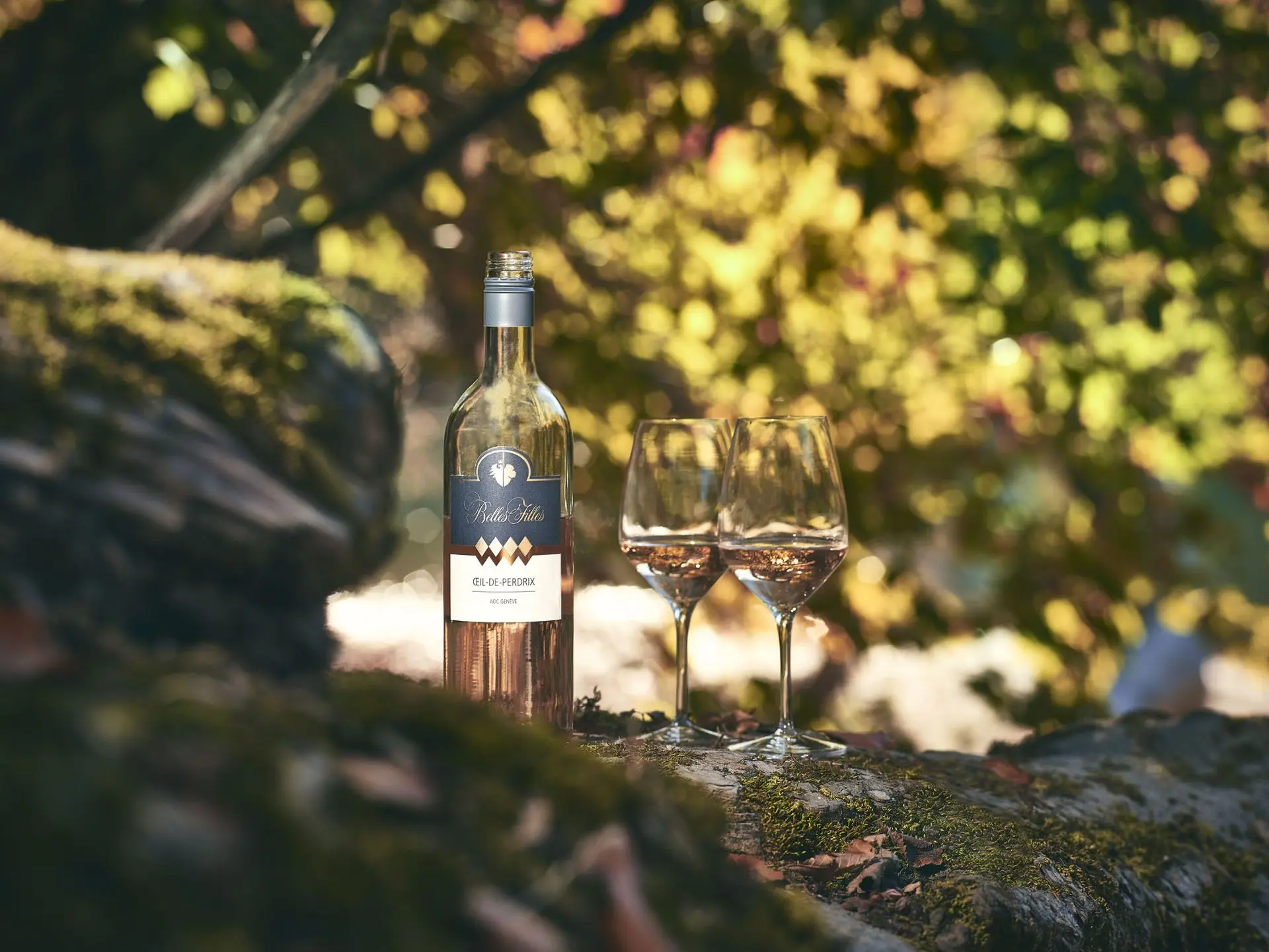 Belles Filles Rosé Une bouteille et deux verres de vin dans une forêt en automne