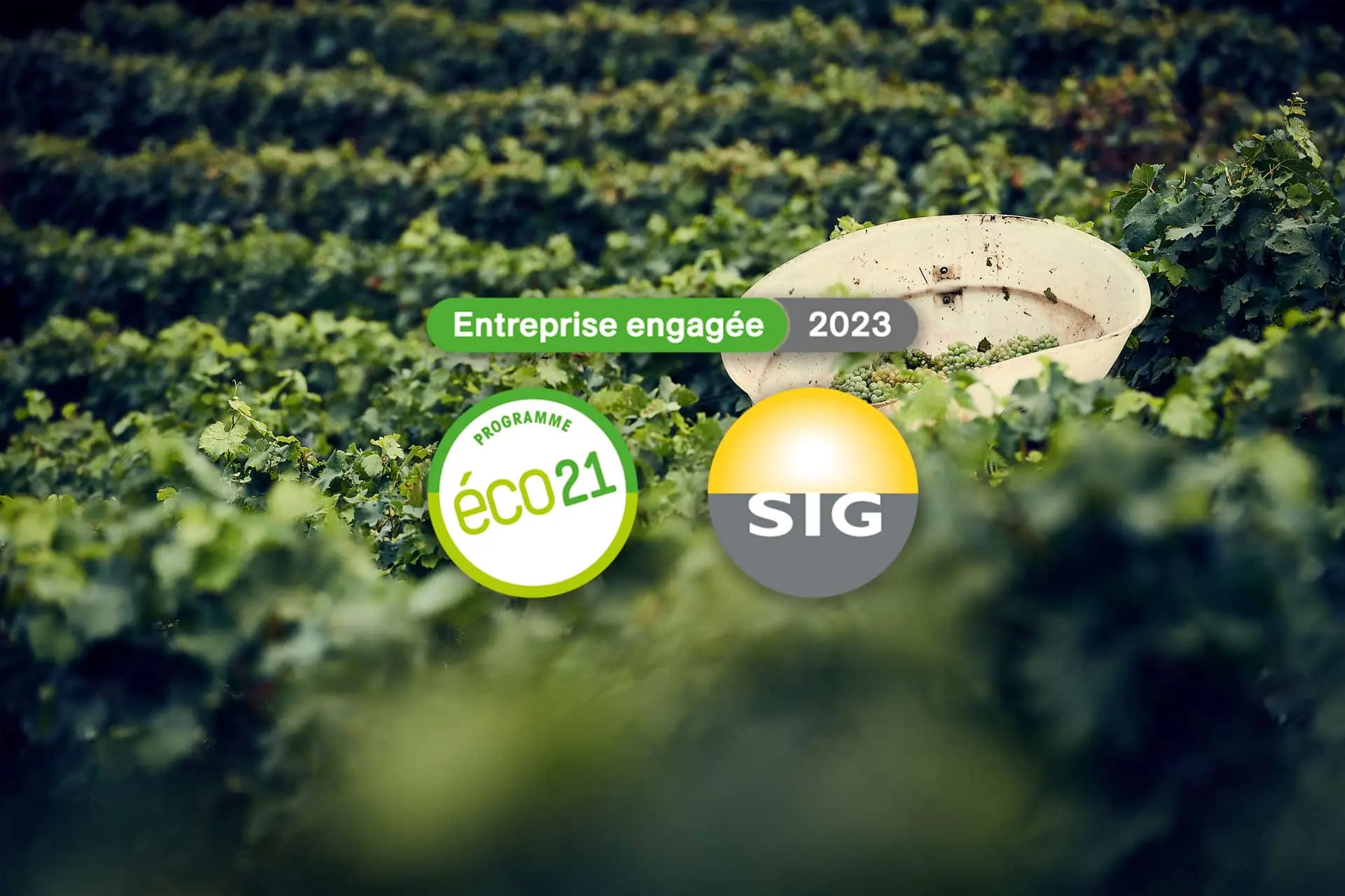 Logos du programme SIG21