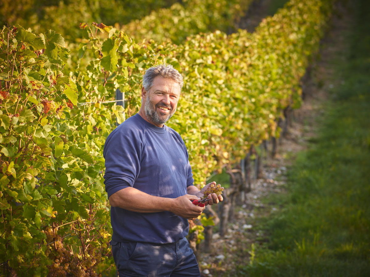 Christophe Bosson Christophe Bosson dans les vignes