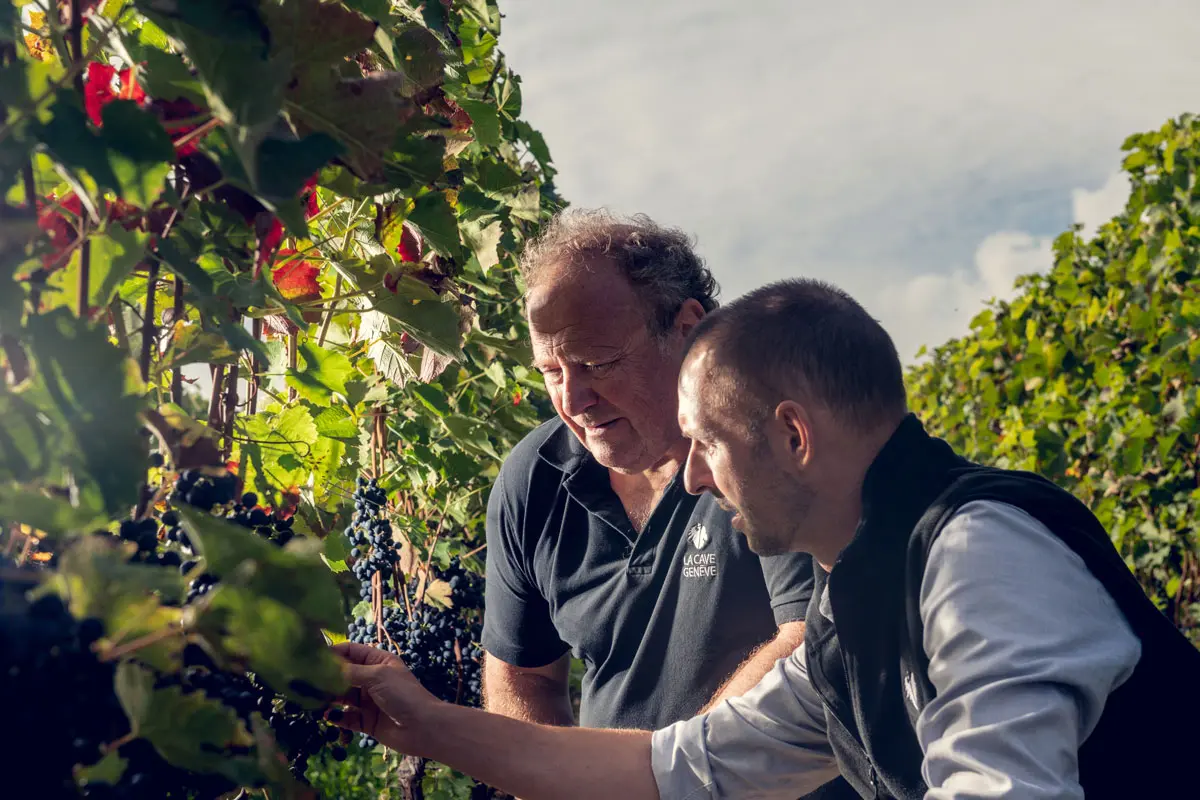 Le vigneron Patrick Duvernay et directeur Jérôme Leupin inspectent la vigne