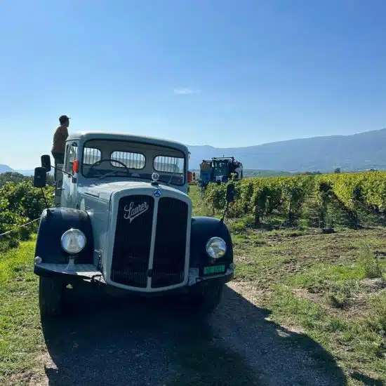 Camion Vintage Vendanges 2023