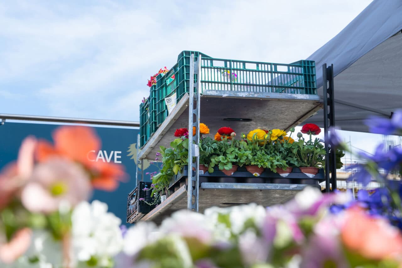 Foire du Printemps 2026