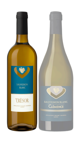 Trésor Sauvignon Blanc devient Clémence Sauvignon Blanc